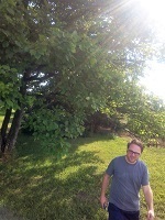 Random Pete And Haw Tree